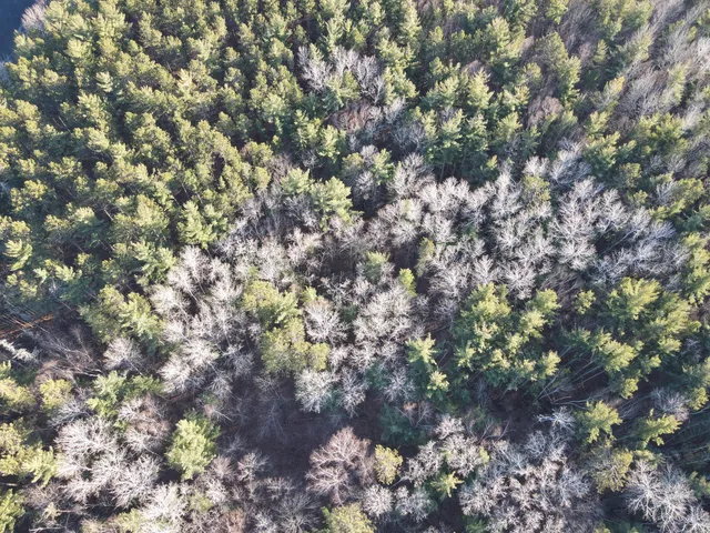 $64,900 | 427 County Road 427, Grand Rapids, MN 55744