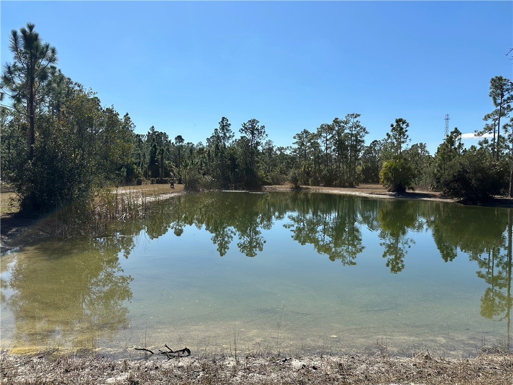 14650 87th Street Fellsmere, FL 32948 - Photo 5 of 36 a view of a lake in between of two trees