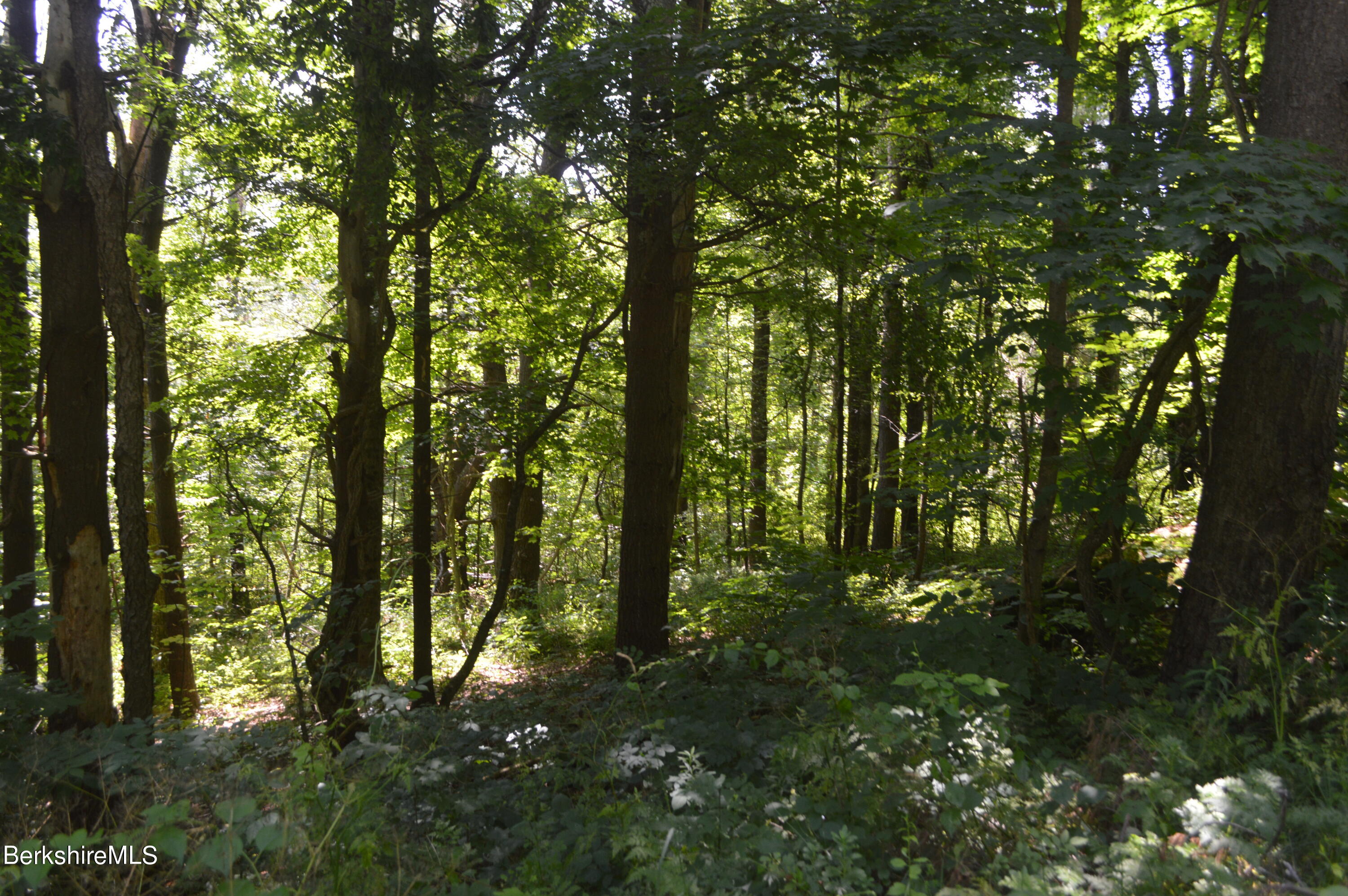 East Slope Road Pittsfield, MA 01201 - Photo 3 of 11 gently sloping
