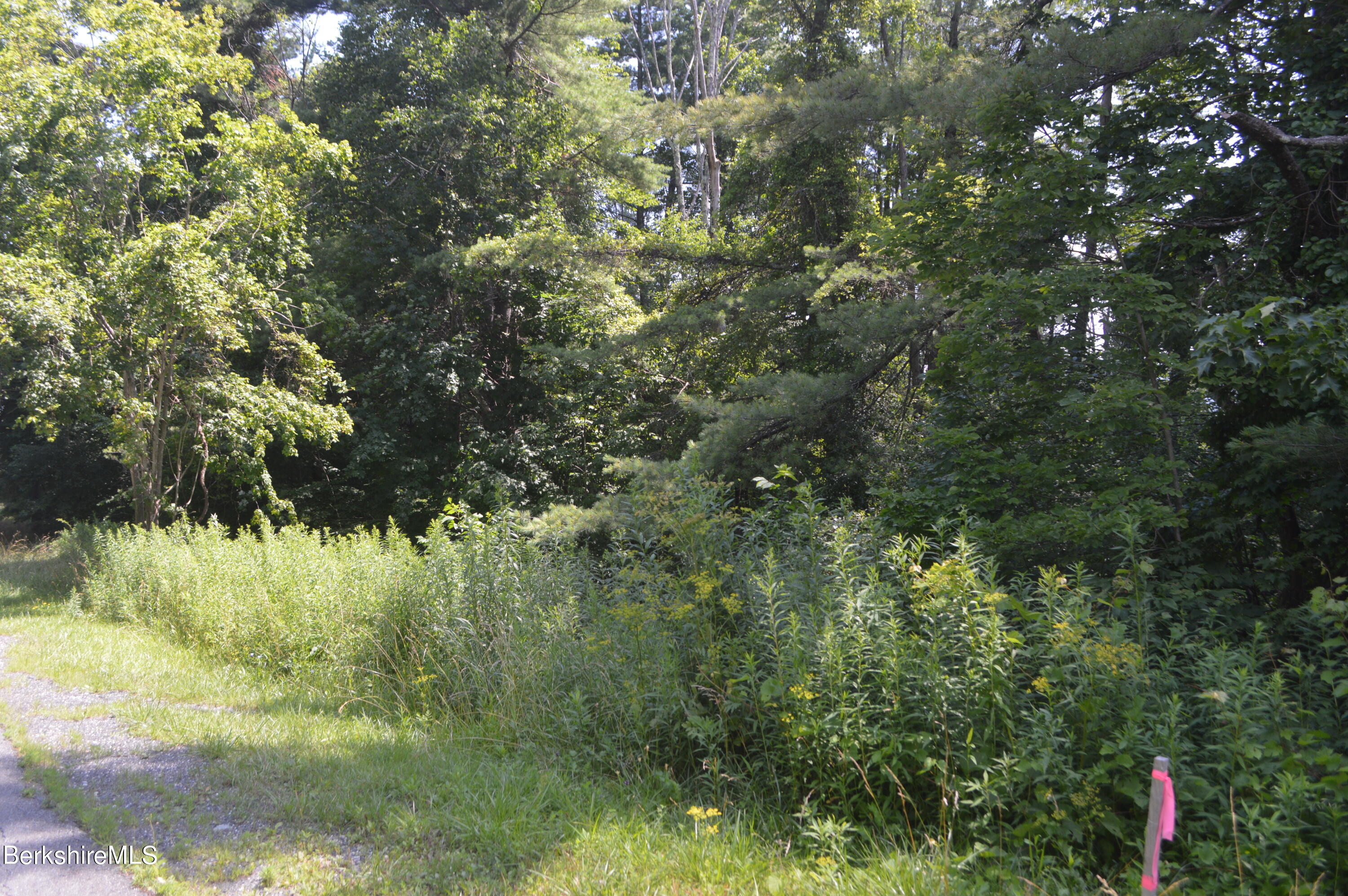 East Slope Road Pittsfield, MA 01201 - Photo 5 of 11 surveyed lot