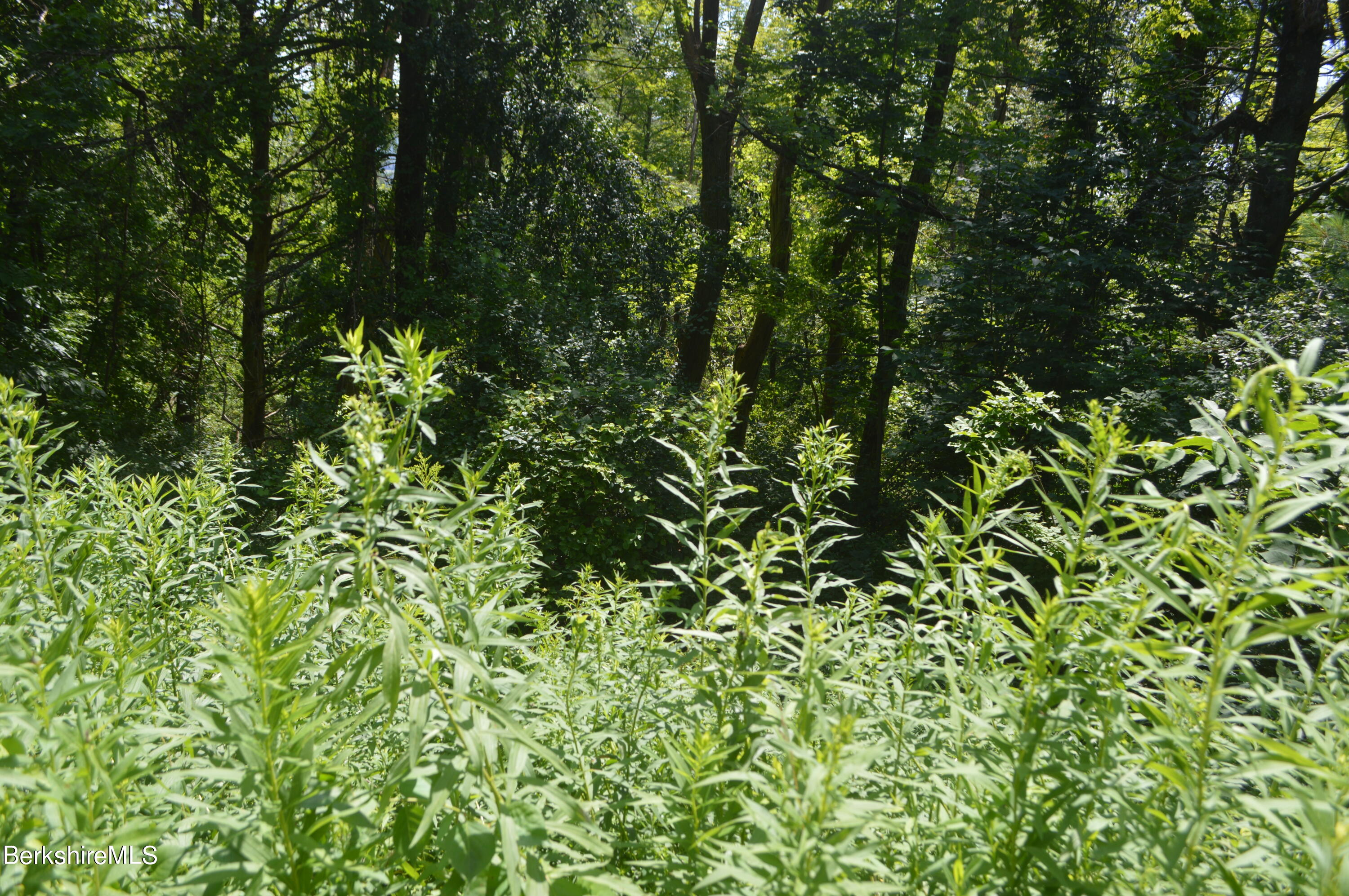 East Slope Road Pittsfield, MA 01201 - Photo 6 of 11 mostly wooded