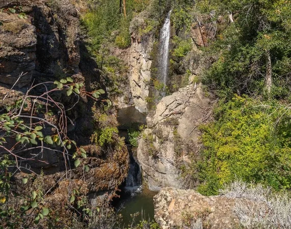 a view of house with outdoor space and street view