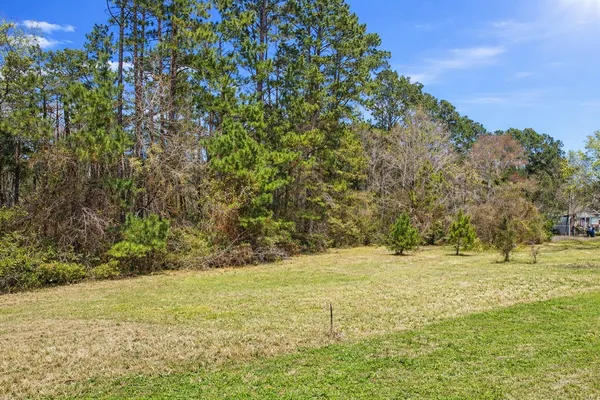 $23,000 | 321 Hickory Ridge Drive, Coldspring, TX 77331