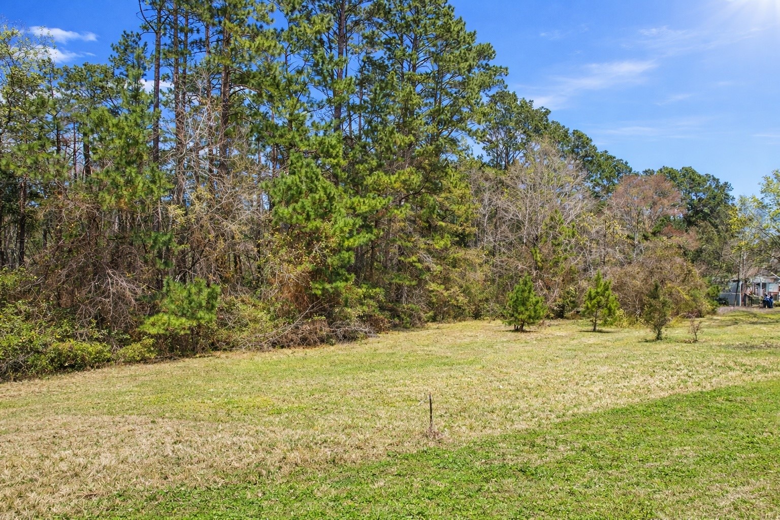 321 Hickory Ridge Drive Coldspring, TX 77331 - Photo 1 of 3