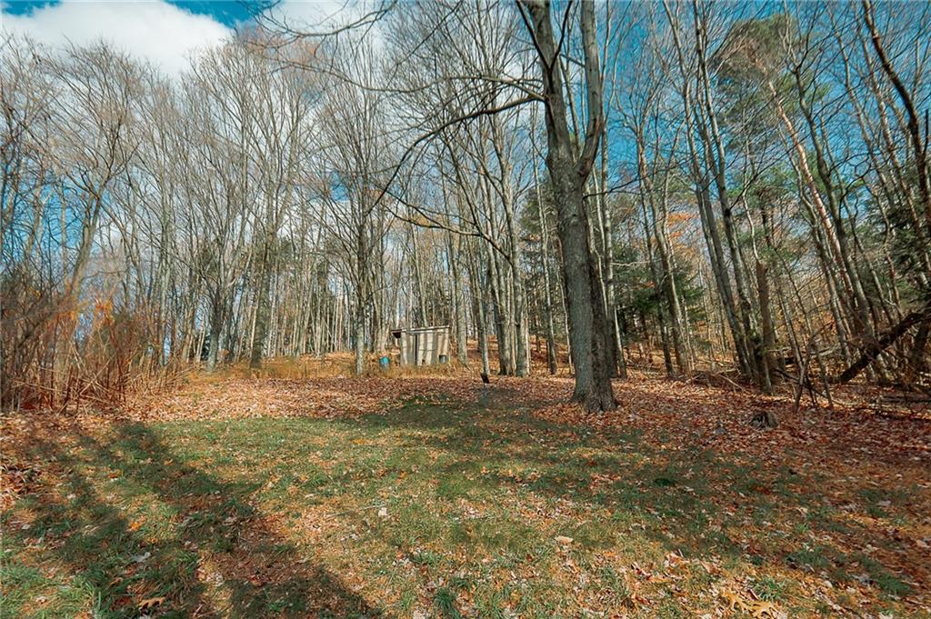 459 North Ben Franklin Road Indiana, PA 15701 - Photo 37 of 37 a backyard of a house with lots of green space
