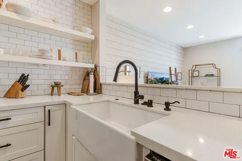 a kitchen with a sink a counter and a potted plant