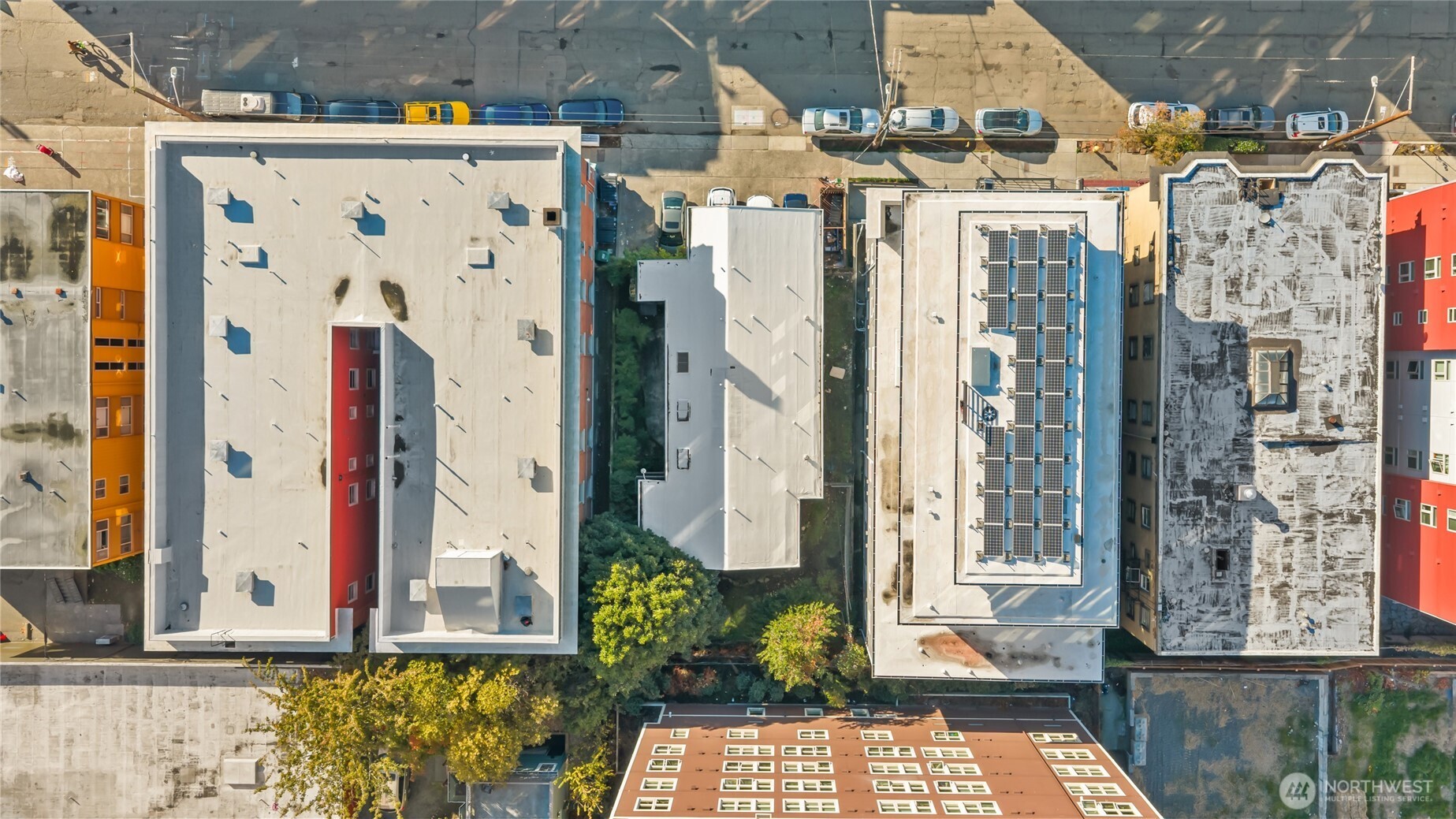1718 Summit Avenue Seattle, WA 98122 - Photo 10 of 11 a view of a house with a potted plant