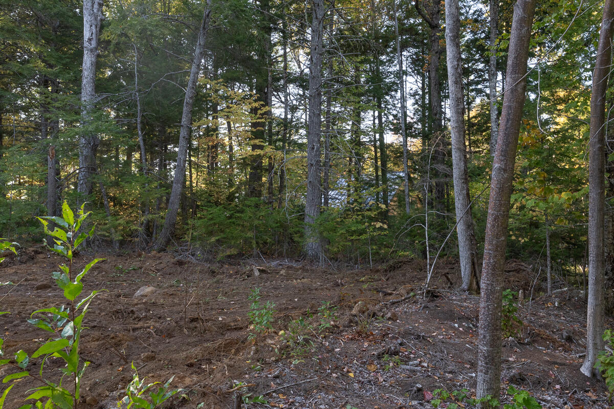 Lot 4 Chadwick Pt Road Weston, ME 04424 - Photo 9 of 30