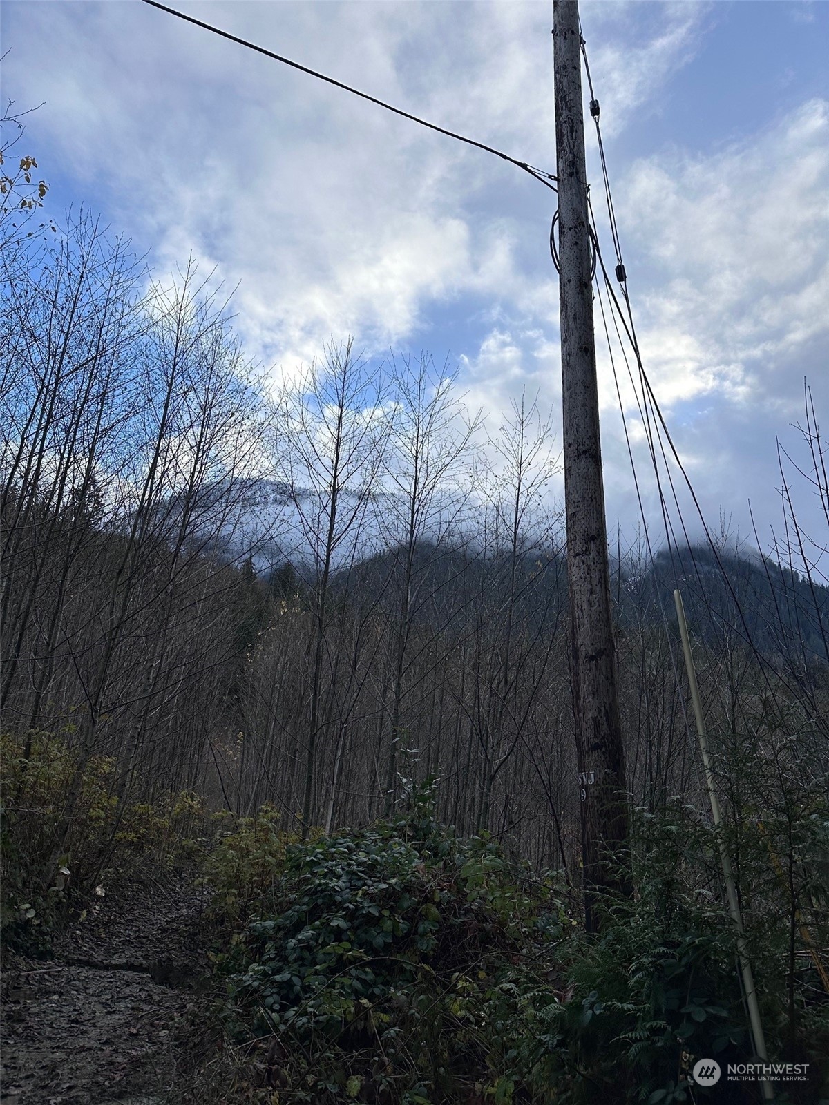 0 Mt Index River Road Gold Bar, WA 98251 - Photo 19 of 22 a view of a back yard
