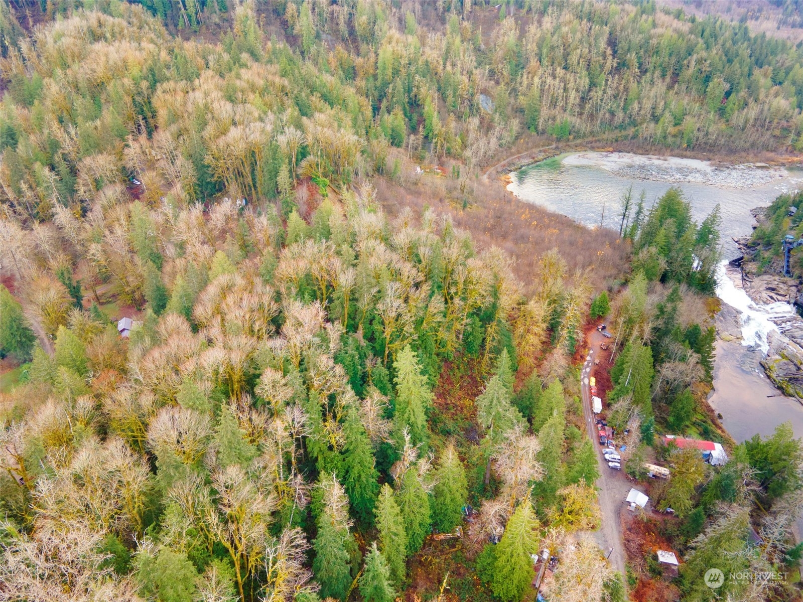0 Mt Index River Road Gold Bar, WA 98251 - Photo 4 of 22 a view of a yard with plants and tree