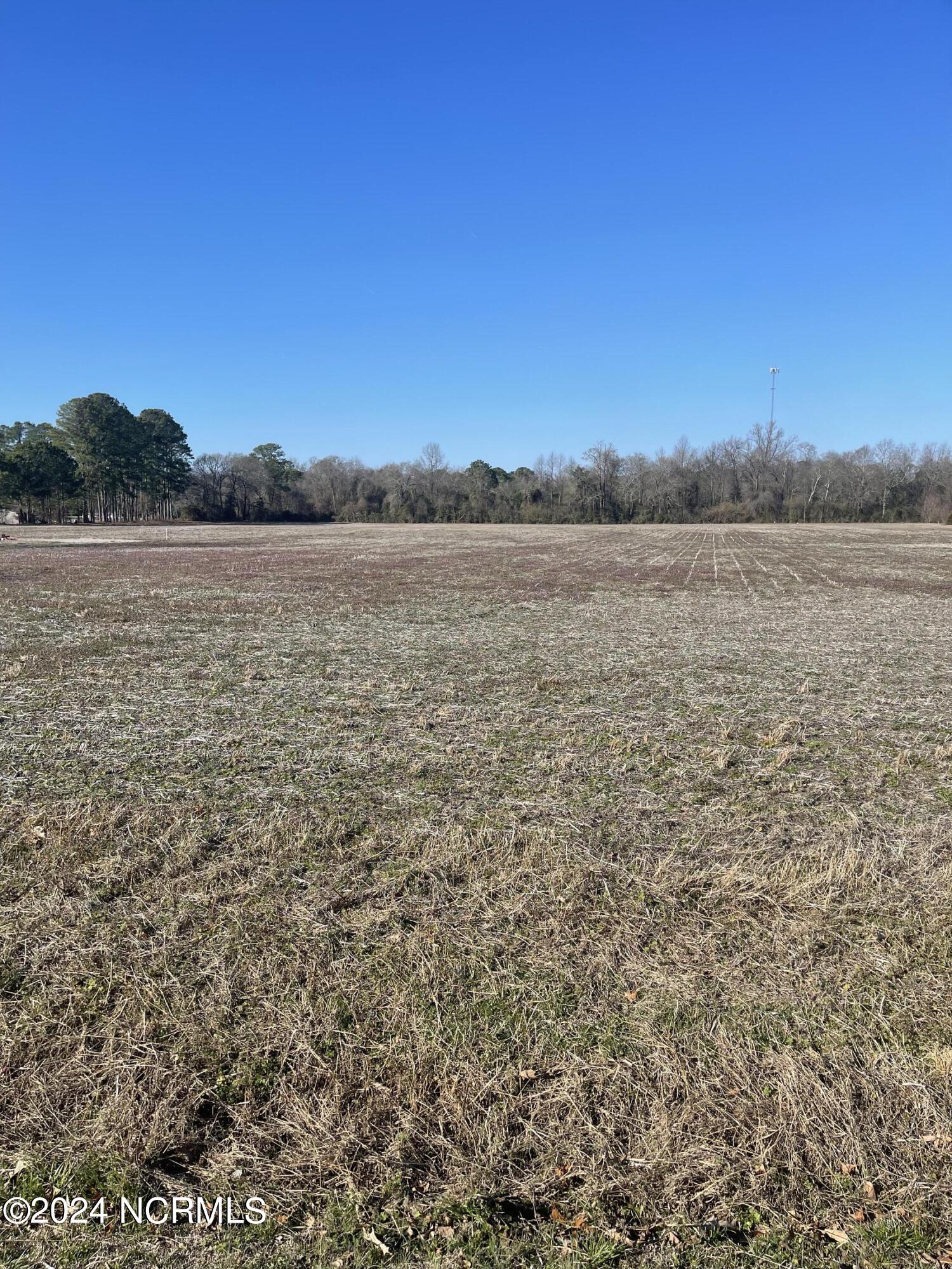 0 Duplin County Road Pink Hill, NC 28572 - Photo 10 of 14 256 Duplin County Road