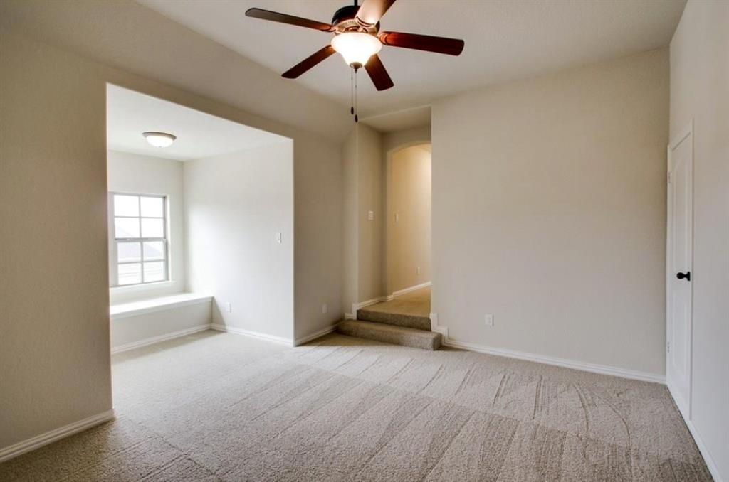 421 Prairie Run Aledo, TX 76008 - Photo 19 of 19