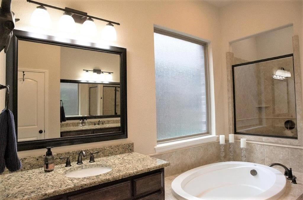421 Prairie Run Aledo, TX 76008 - Photo 6 of 19 Bathroom featuring a garden tub, vanity, and a shower