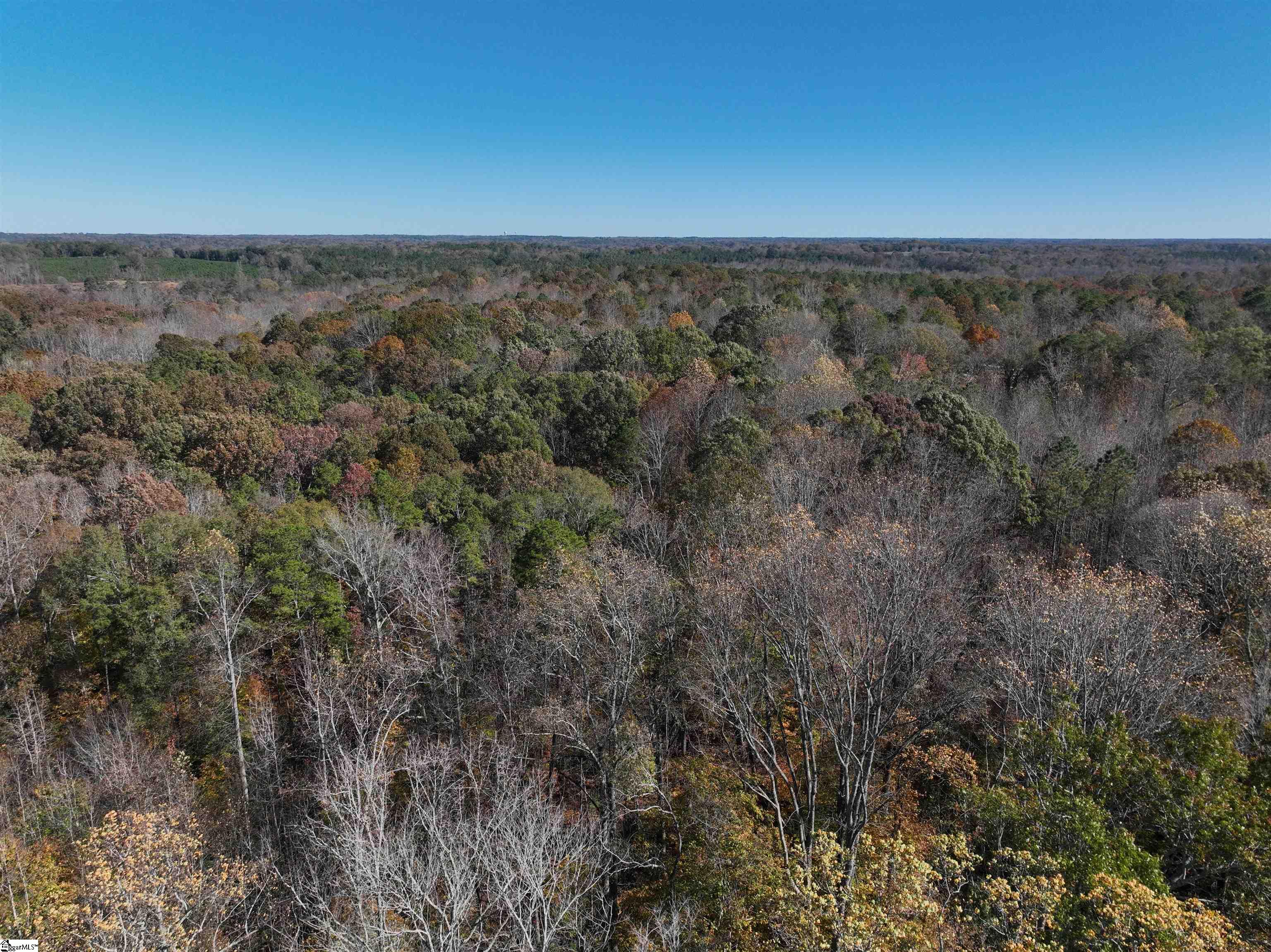 4 Patterson Drive Laurens, SC 29360 - Photo 5 of 6