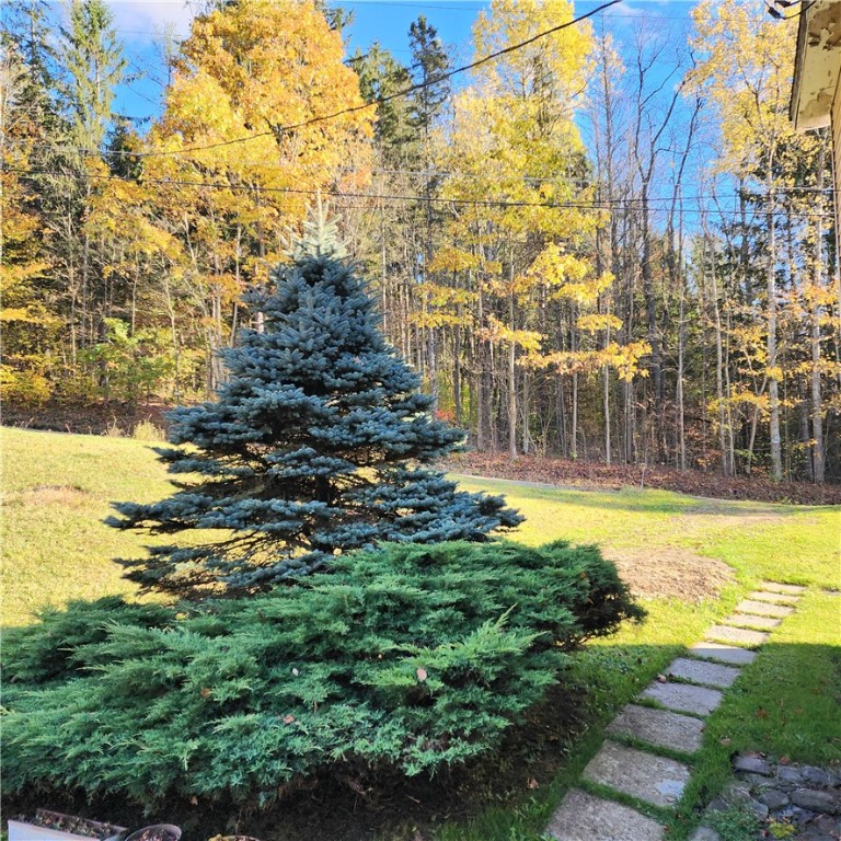 10886 Cox Road Hornby, NY 14812 - Photo 23 of 27