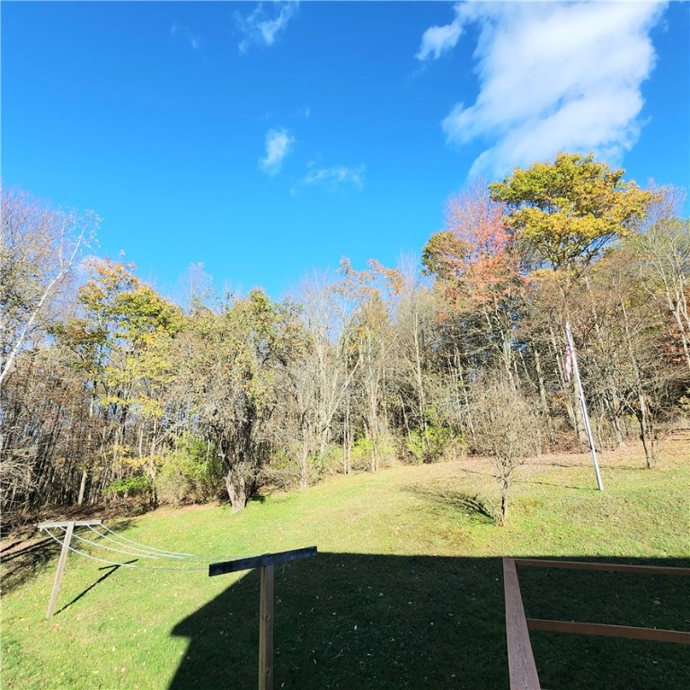 10886 Cox Road Hornby, NY 14812 - Photo 7 of 27 View From Back Deck