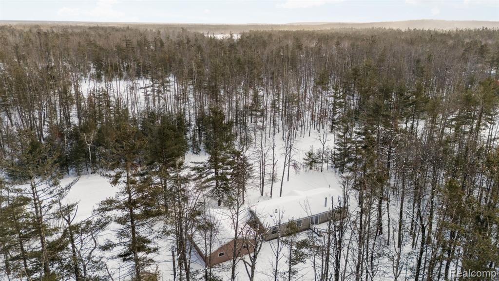 2836 Lone Pine Road Gaylord, MI 49735 - Photo 42 of 43