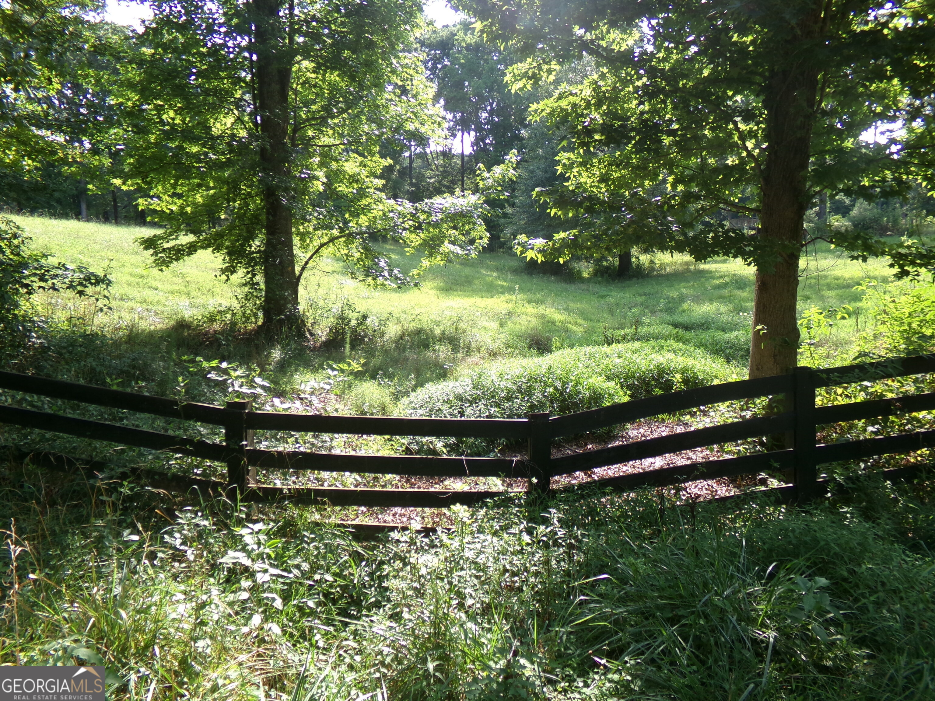 35-acres Youth Jersey Road Covington, GA 30014 - Photo 16 of 42 a view of outdoor space and garden
