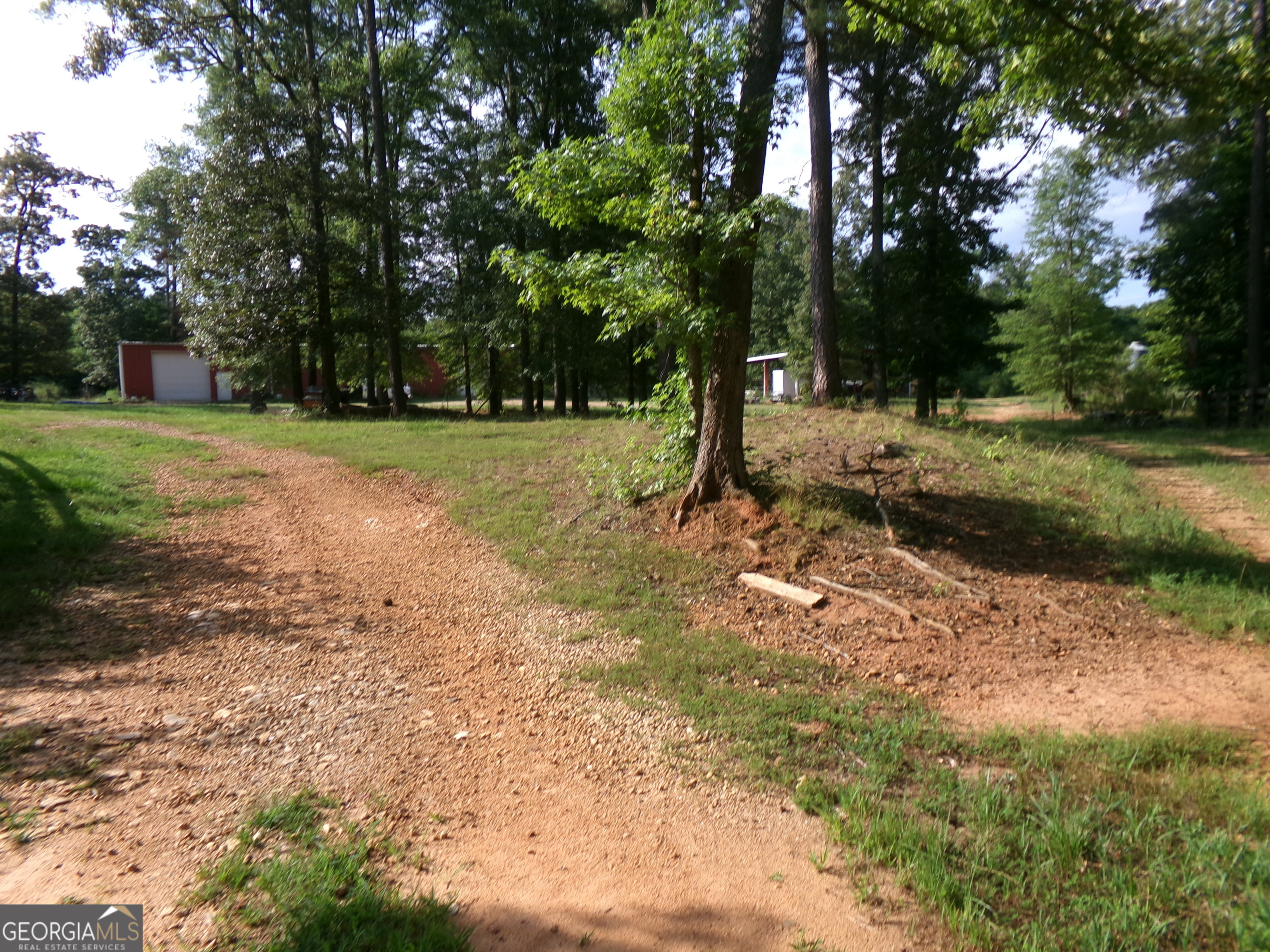 35-acres Youth Jersey Road Covington, GA 30014 - Photo 17 of 42 a view of a tree in the middle of a yard
