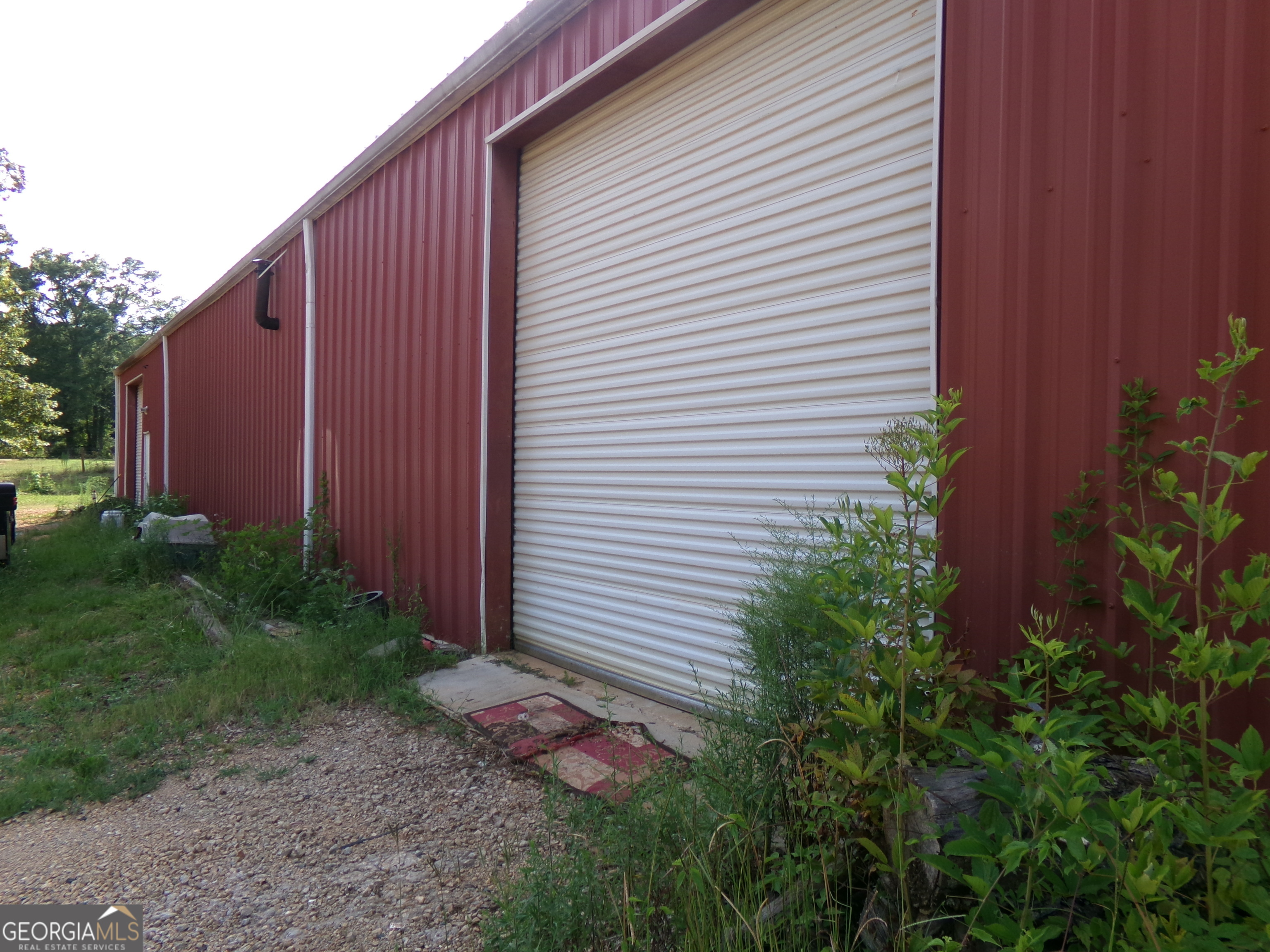 35-acres Youth Jersey Road Covington, GA 30014 - Photo 21 of 42 a view of a backyard with plants