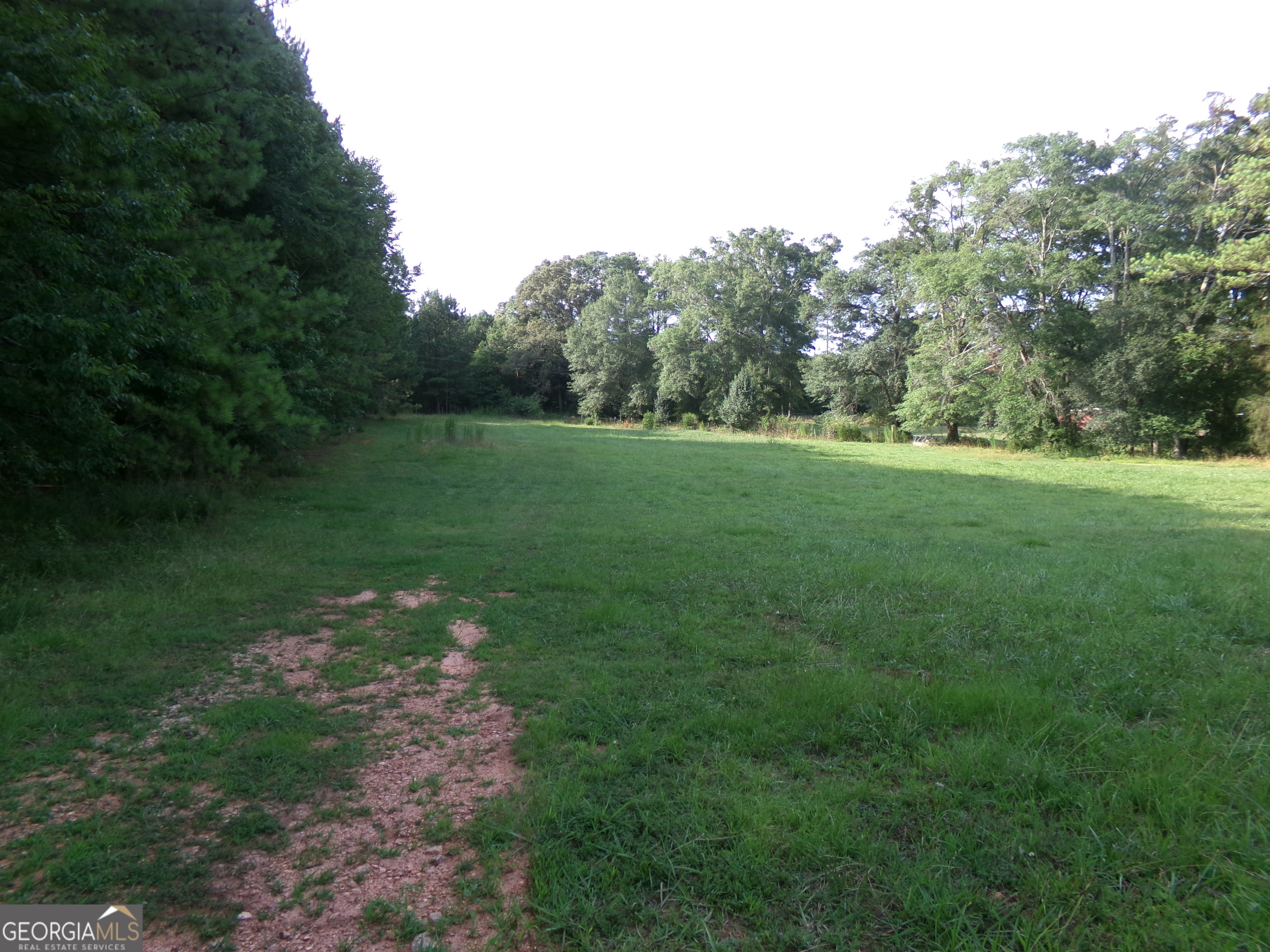 35-acres Youth Jersey Road Covington, GA 30014 - Photo 27 of 42 a yard with large trees