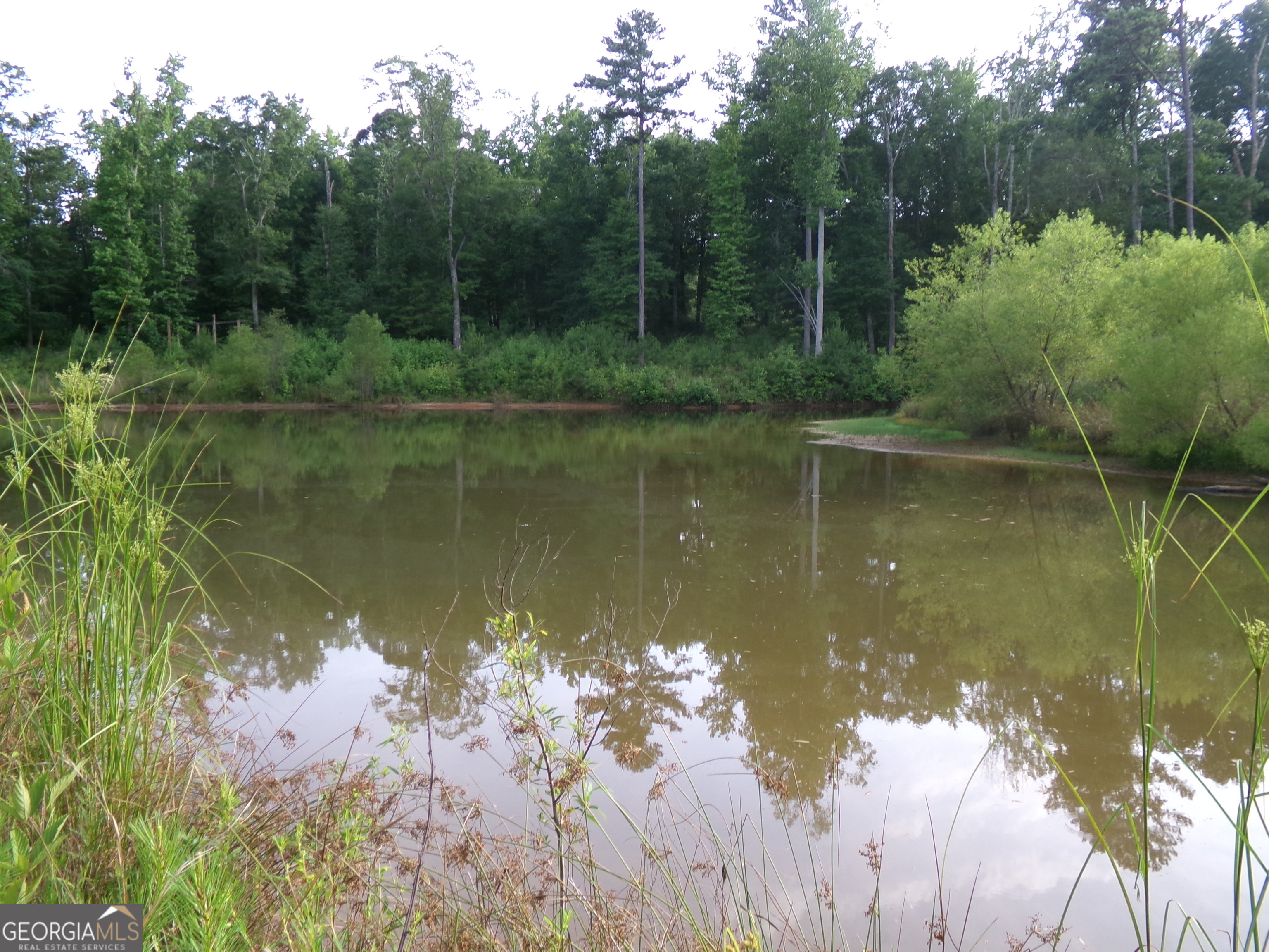 35-acres Youth Jersey Road Covington, GA 30014 - Photo 30 of 42 a view of a lake with a forest