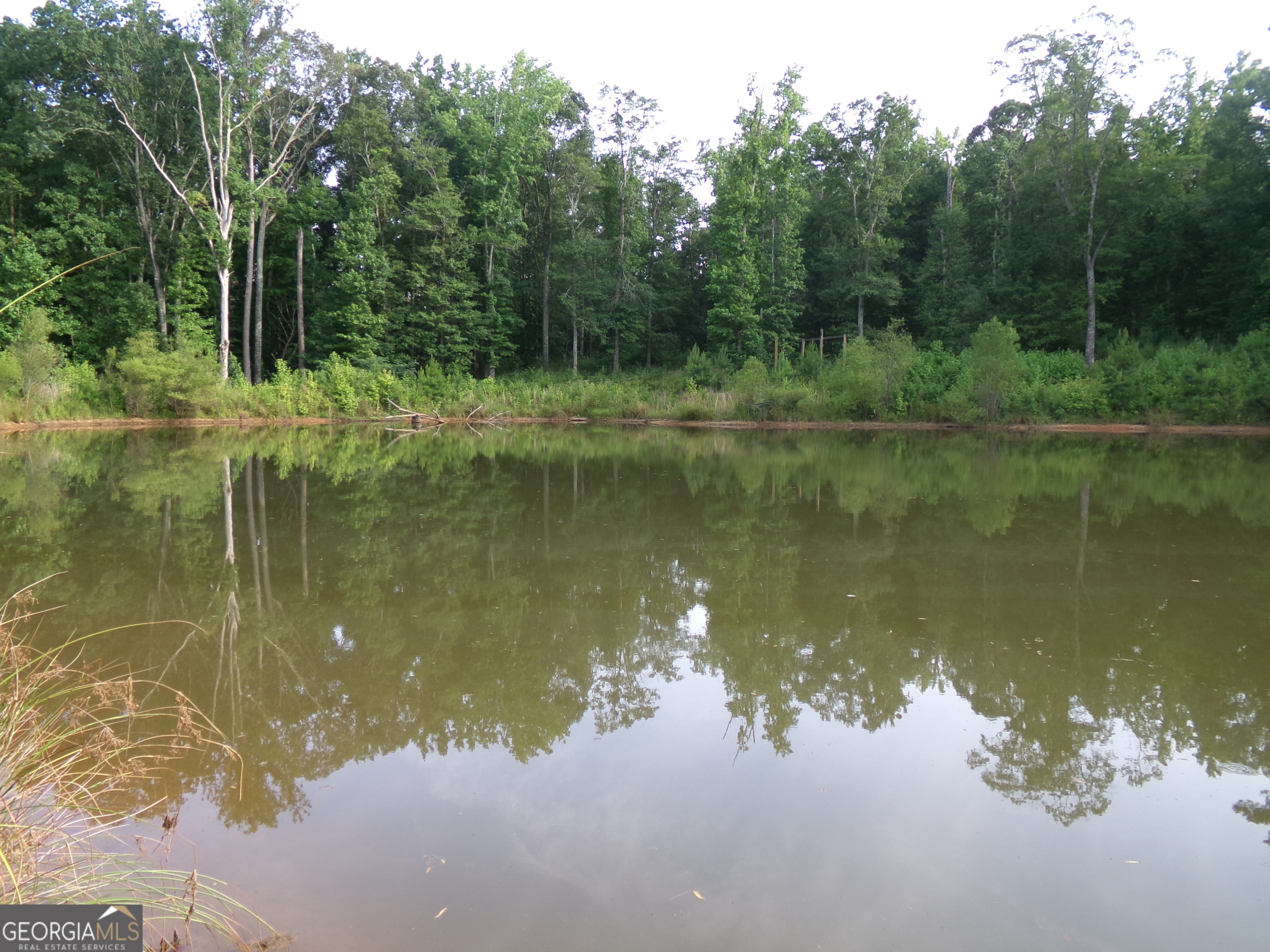 35-acres Youth Jersey Road Covington, GA 30014 - Photo 31 of 42 a view of a lake view with a lake view