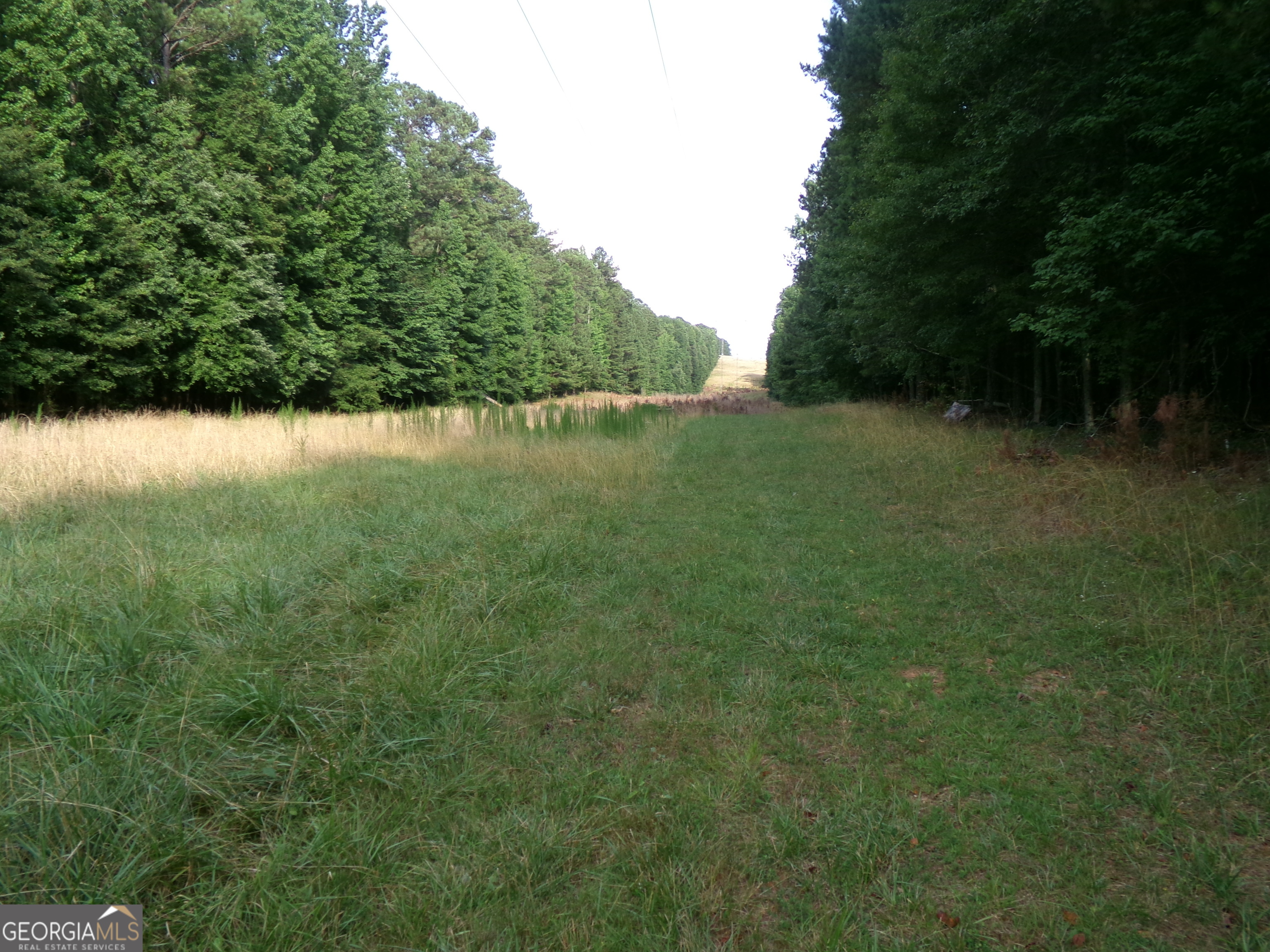 35-acres Youth Jersey Road Covington, GA 30014 - Photo 35 of 42 a view of outdoor space with deck and yard