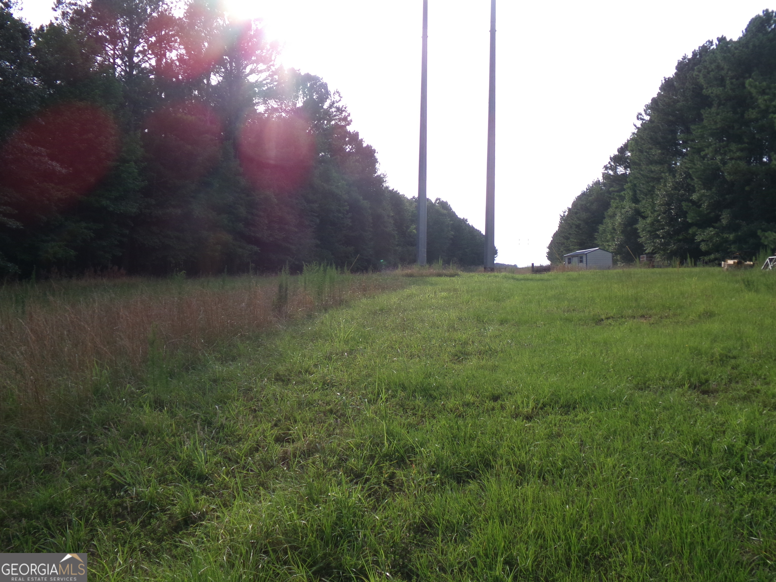 35-acres Youth Jersey Road Covington, GA 30014 - Photo 36 of 42 a view of a yard