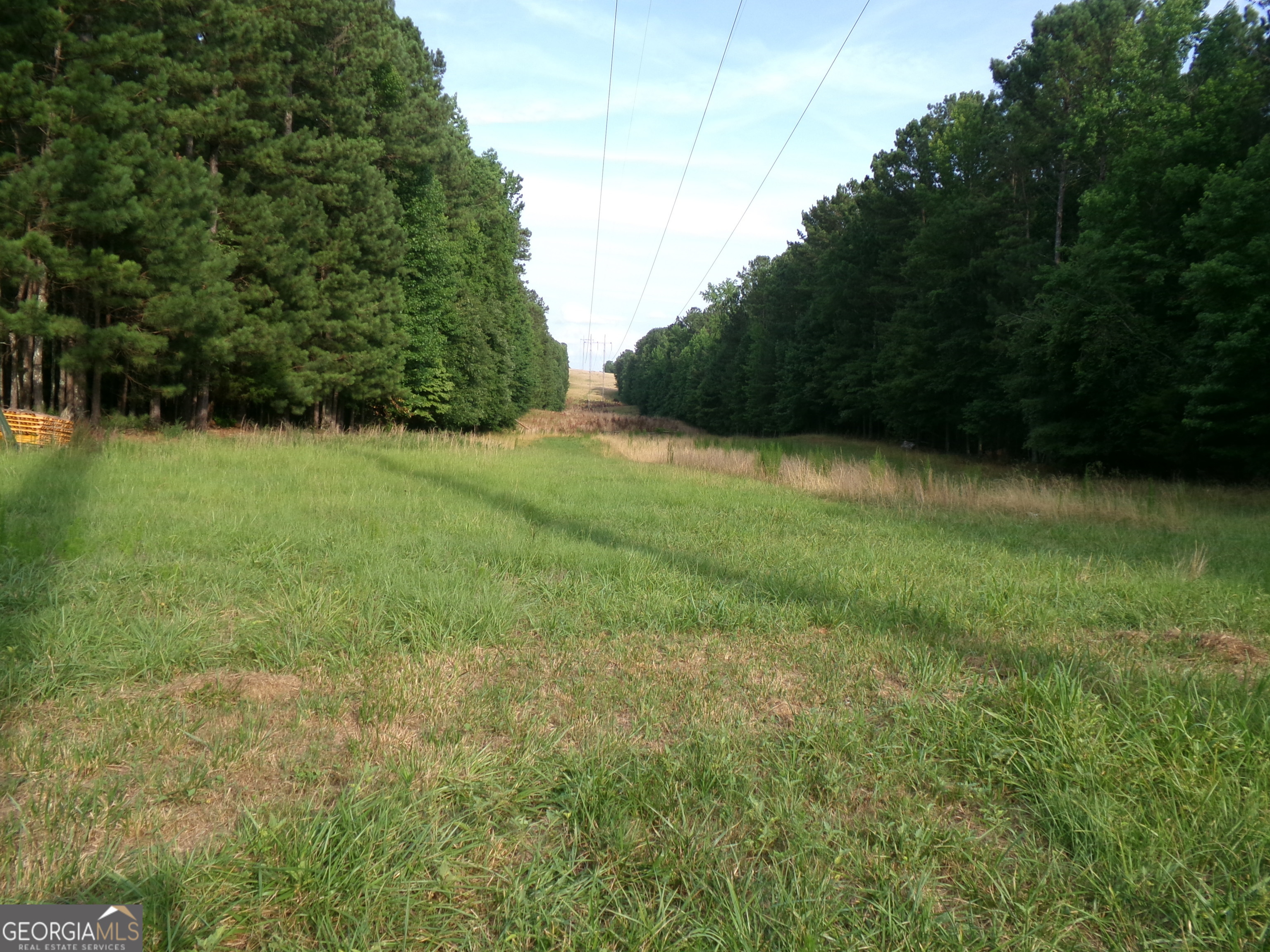 35-acres Youth Jersey Road Covington, GA 30014 - Photo 37 of 42 a view of a field of grass and trees