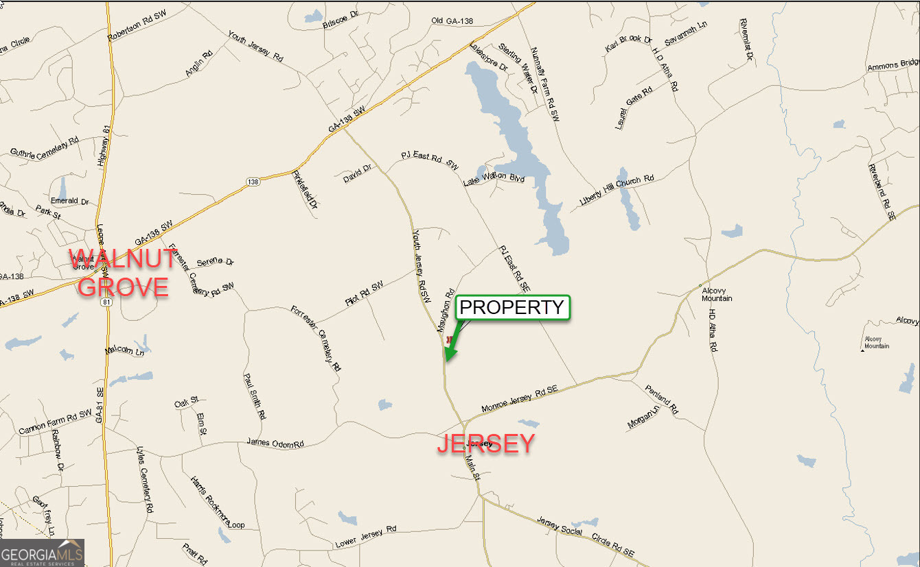 35-acres Youth Jersey Road Covington, GA 30014 - Photo 42 of 42 a white house with trees in the background