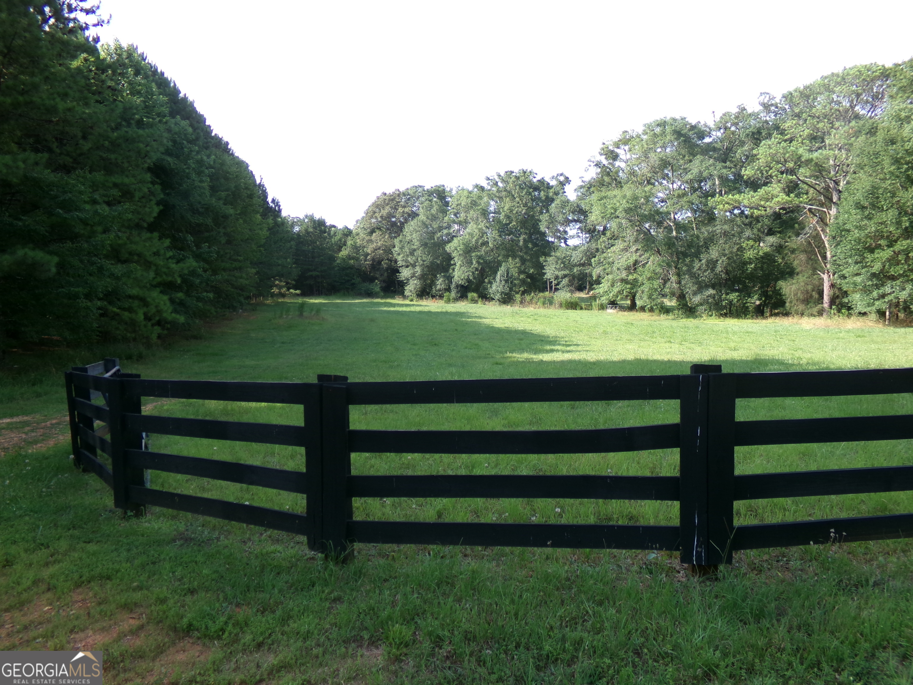 35-acres Youth Jersey Road Covington, GA 30014 - Photo 10 of 42 a view of a park with large trees