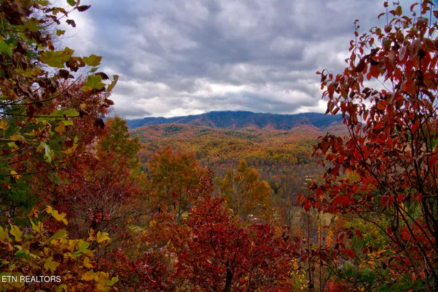 $330,000 | 429 Deer Path Lane, Unit 103, Gatlinburg, TN 37738