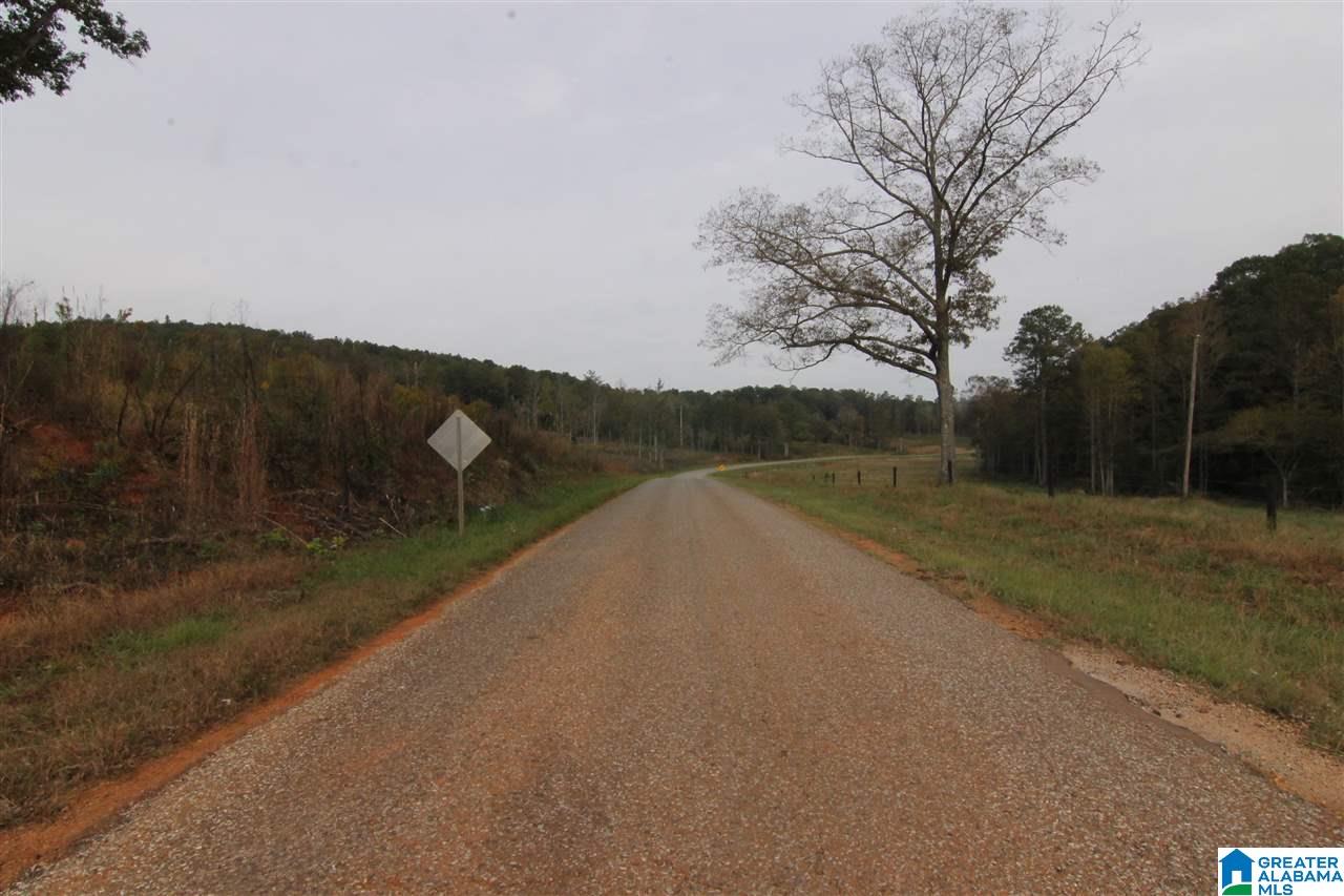 6317 County Road 10, Unit 60 Heflin, AL 36264 - Photo 1 of 6