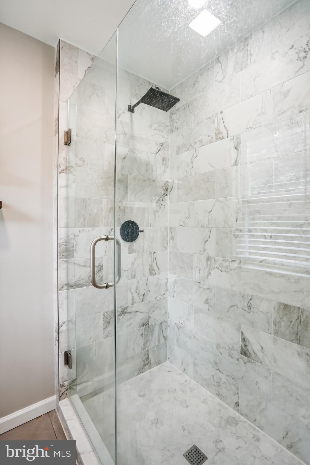 19421 Olney Mill Road Olney, MD 20832 - Photo 23 of 65 Large Glass Shower