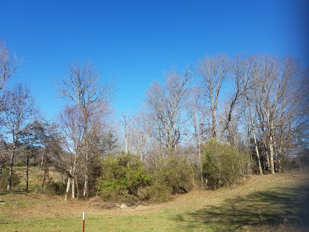 0 Overhill Road, Unit PO15 Rogersville, TN 37857 - Photo 16 of 35 Photo 16