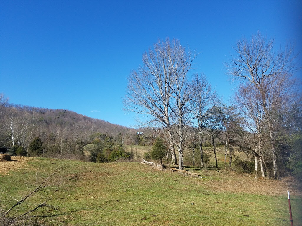 0 Overhill Road, Unit PO15 Rogersville, TN 37857 - Photo 17 of 35 Photo 17