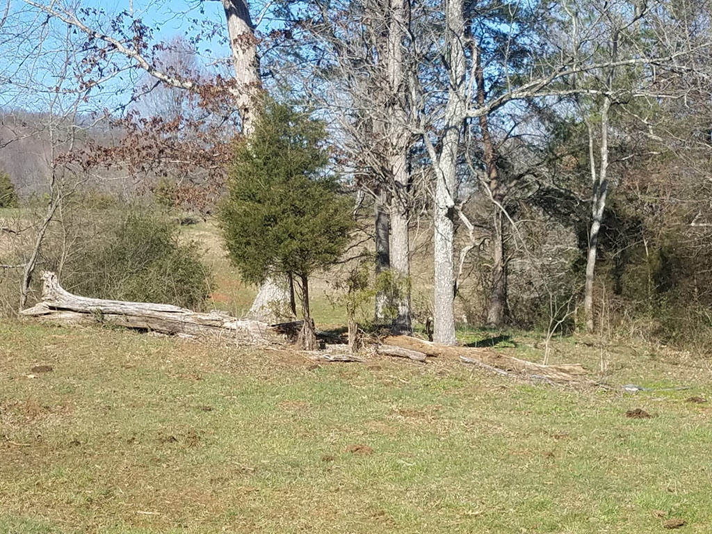 0 Overhill Road, Unit PO15 Rogersville, TN 37857 - Photo 20 of 35 Photo 20