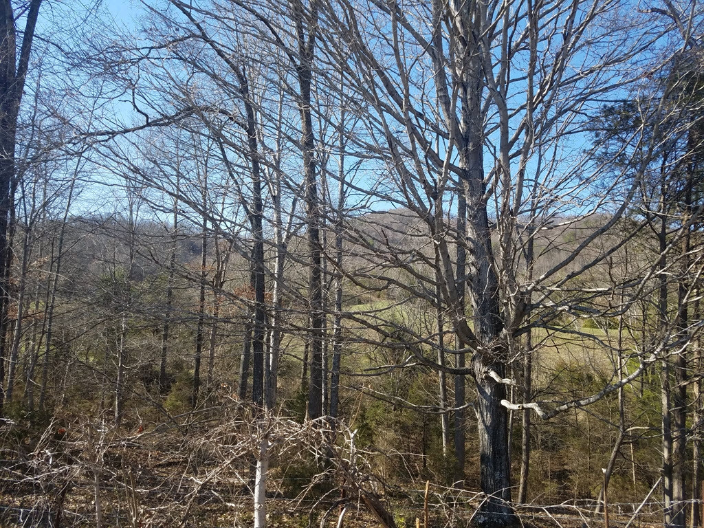 0 Overhill Road, Unit PO15 Rogersville, TN 37857 - Photo 29 of 35 Photo 29