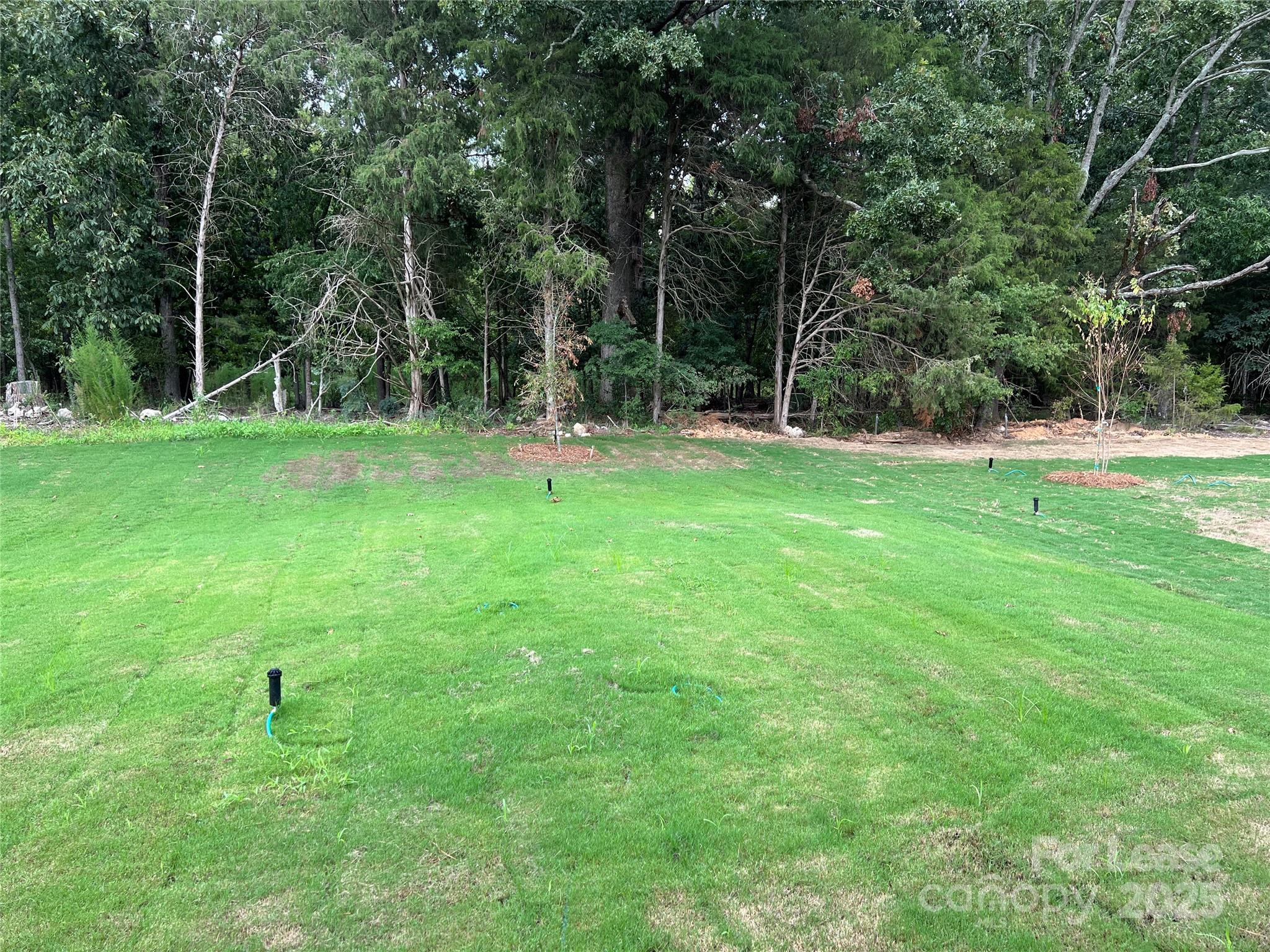 1274 Scotch Meadows Loop Monroe, NC 28110 - Photo 9 of 10