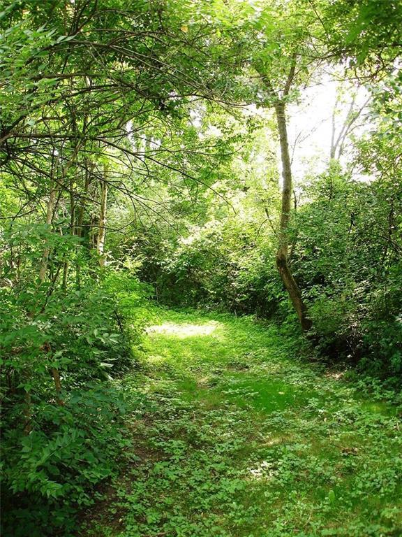 10-acres Selma Road Springfield, OH 45505 - Photo 4 of 8