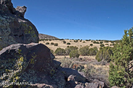 43-031 Alpine Ranch Flagstaff, AZ 86004 - Photo 2 of 9 lichen
