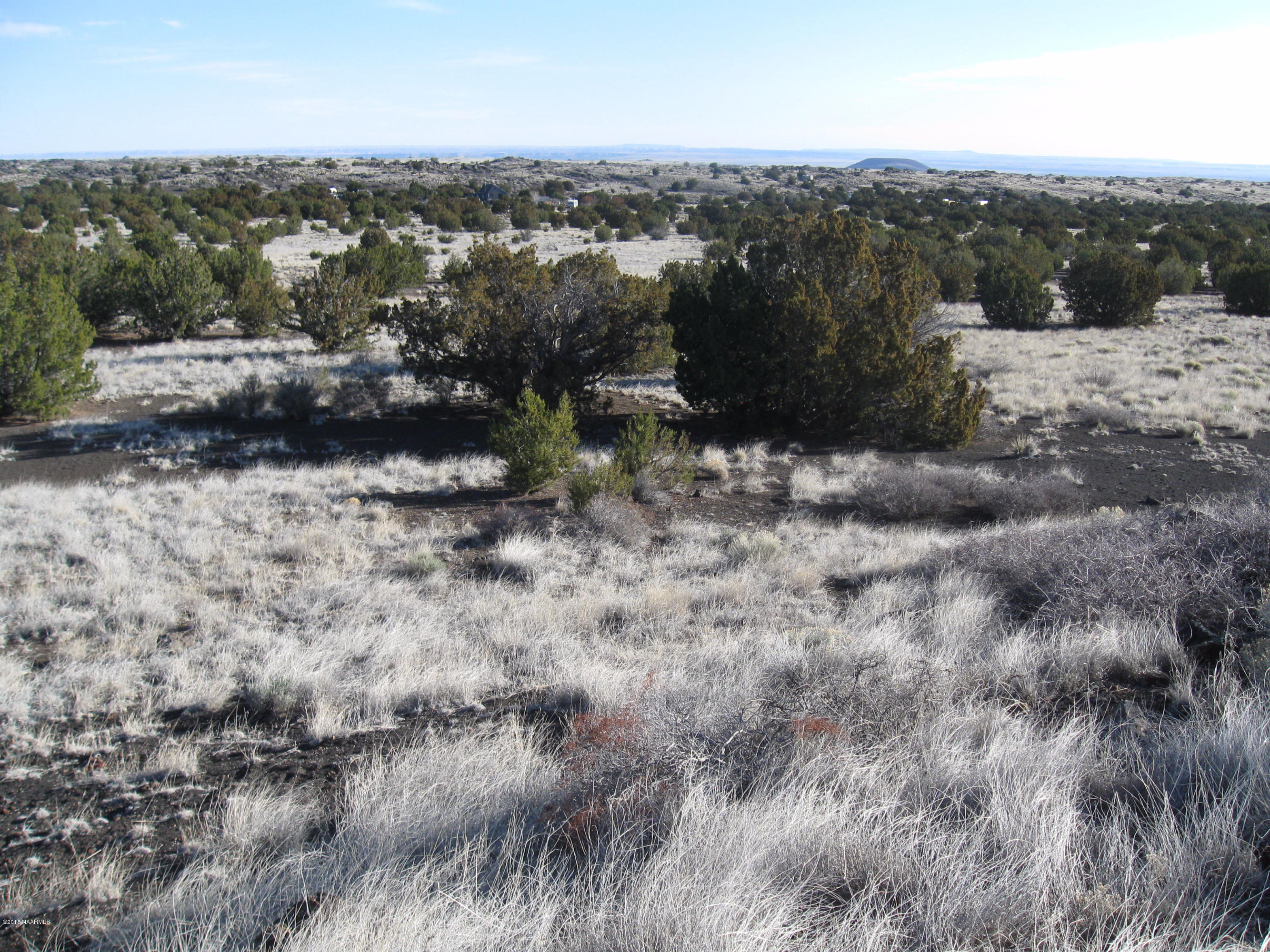 43-031 Alpine Ranch Flagstaff, AZ 86004 - Photo 6 of 9 View 009