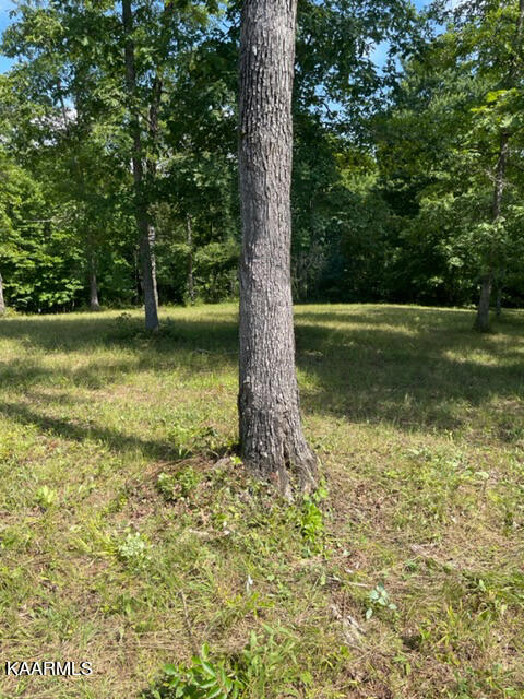 Lot 48-49 Rockview Road Jamestown, TN 38556 - Photo 1 of 1 00