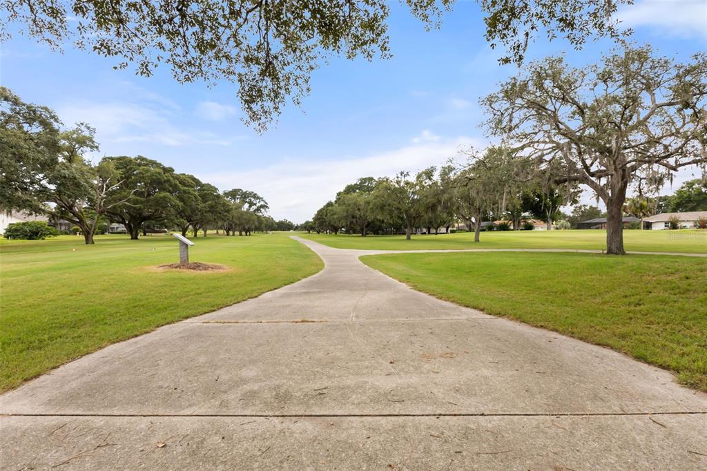 751 East Gilchrist Court Hernando, FL 34442 - Photo 61 of 92