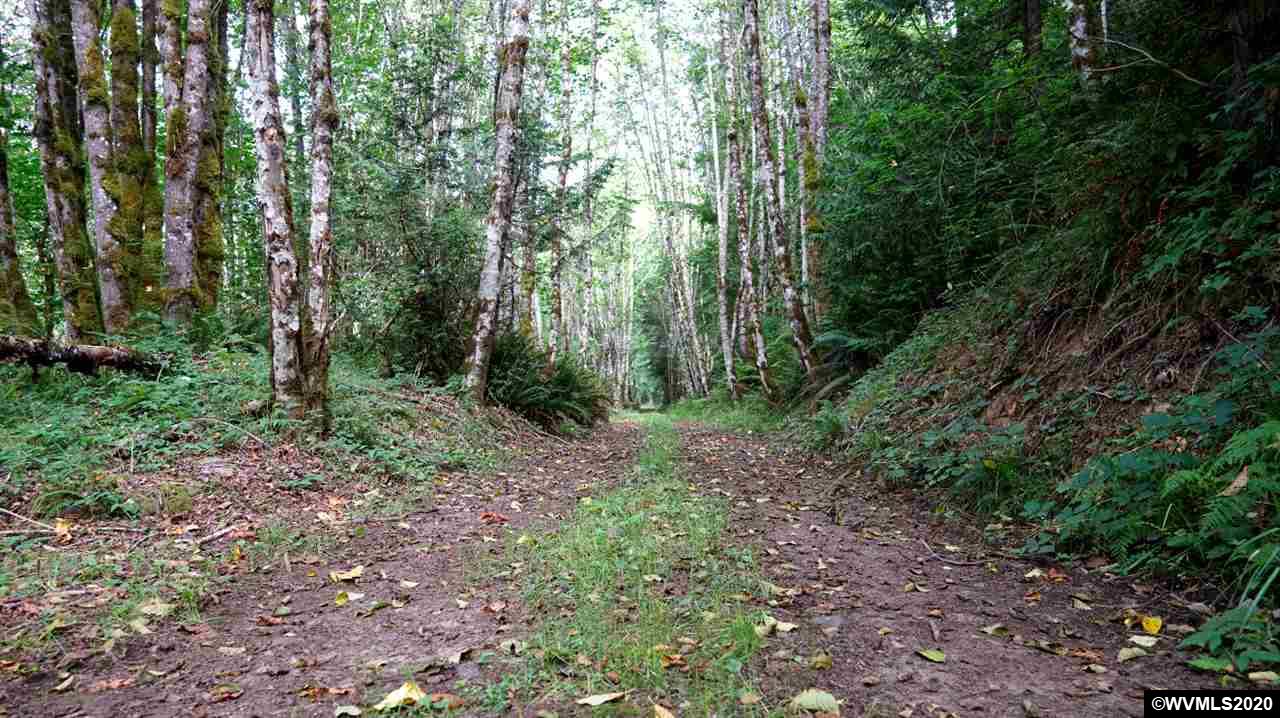 33600 Southwest Sw Highway Sandy, OR 97055 - Photo 5 of 32
