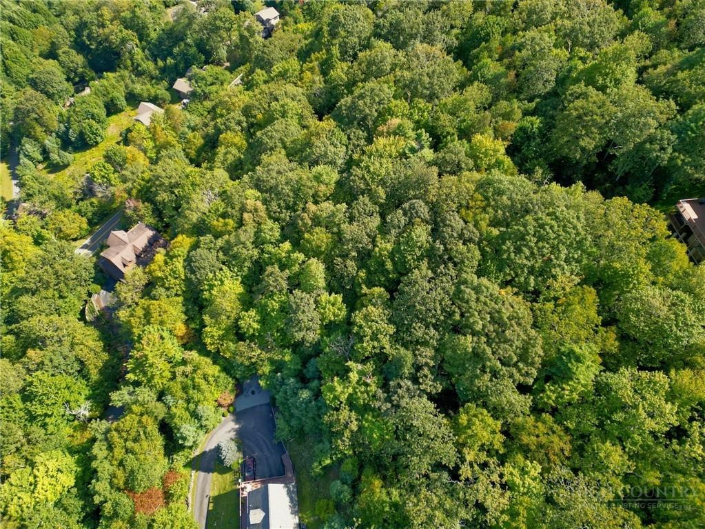Highland Lakes Road Blowing Rock, NC 28605 - Photo 7 of 15