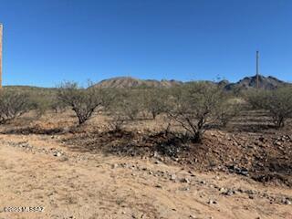 220 Via Nazas, Unit 5 Rio Rico, AZ 85648 - Photo 5 of 12 Gallery Image 5
