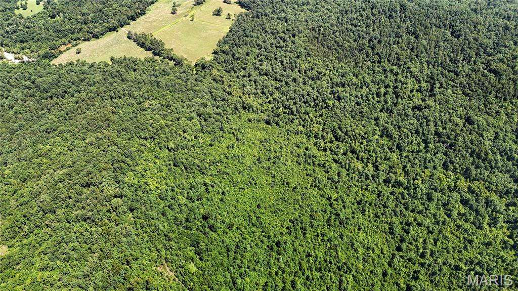 Tbd Tbd Antler Ridge Bunker, MO 63629 - Photo 8 of 26