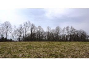 2400 South Knightridge Road Bloomington, IN 47401 - Photo 3 of 7